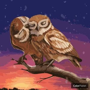 Meet your Posher, Norma